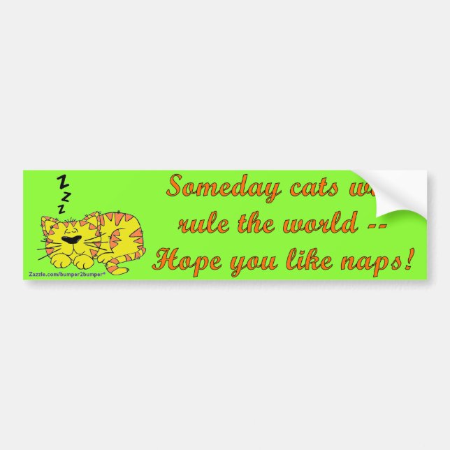 Someday Cats Bumper Sticker (Front)
