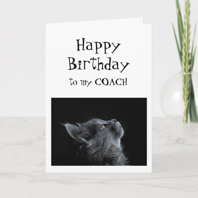 Someone I look up to Coach Birthday Animal Humour Card (Front)