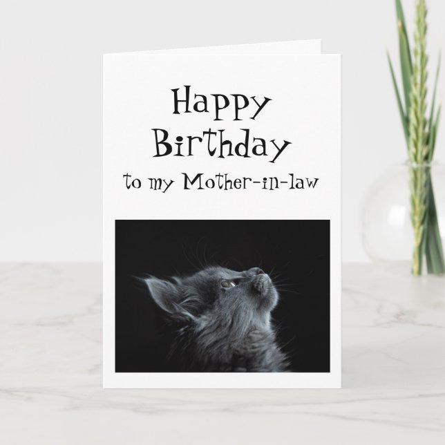 Someone I look up to Mother-in-law Birthday Cat Card (Front)