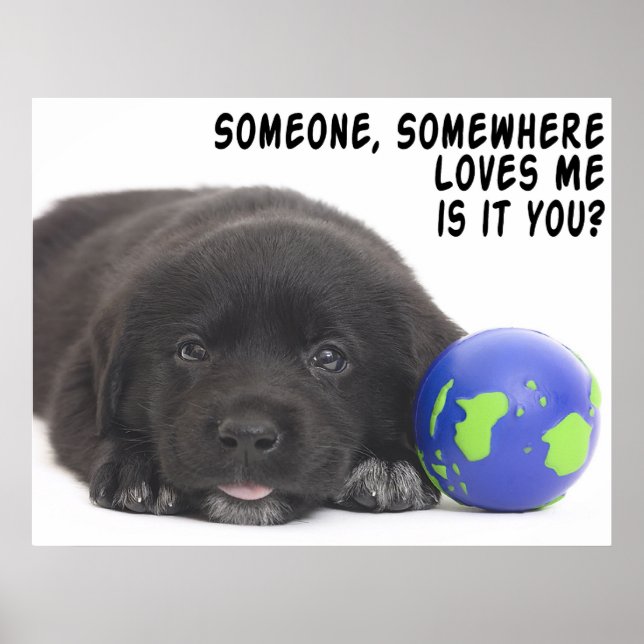Someone, Somewhere Poster (Front)