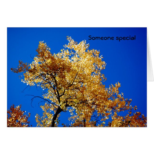 Someone special (Front Horizontal)