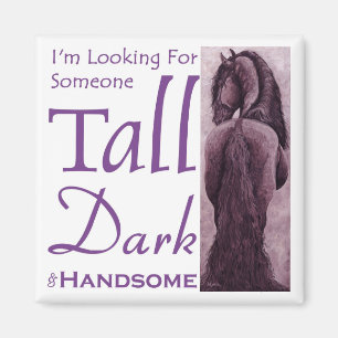 Someone Tall Dark & Handsome - Frisian Horse Magnet