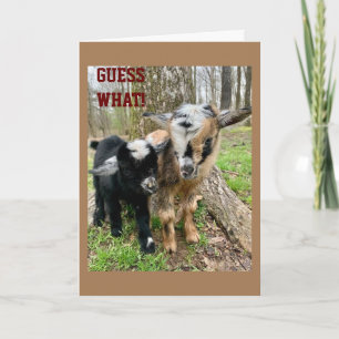 SOMEONE "VERY SPECIAL" IS HAVING A **BIRTHDAY** CARD