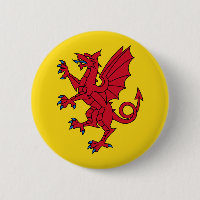 Somerset Flag England dragon symbol