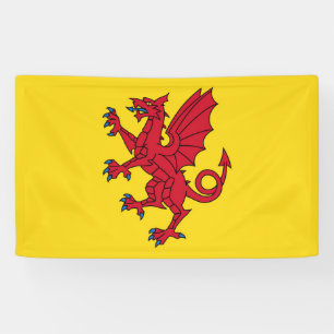 Somerset Flag England dragon symbol Banner