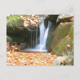 Something Different Postcard