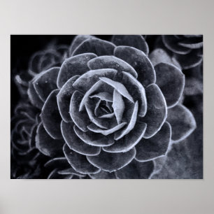 Something Different Poster