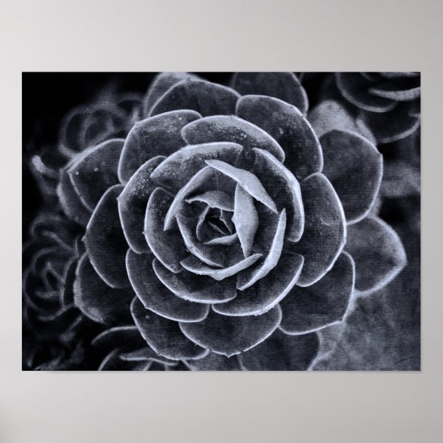 Something Different Poster (Front)