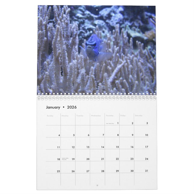 Something Fishy Calendar (Jan 2026)