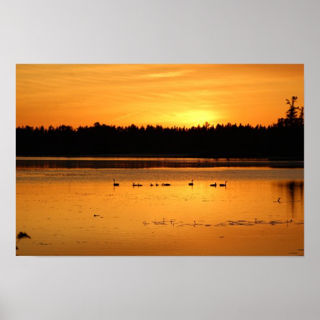 Something in The Orange - Ducks Poster (Front)