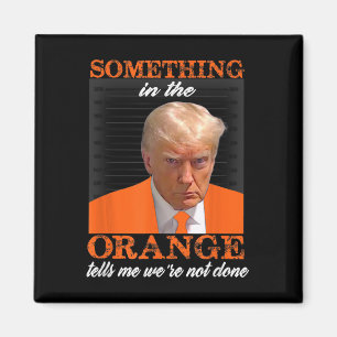 Something In The Orange Tells Me We're Not Done Magnet