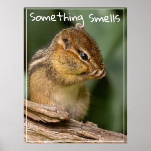 Something Smells Text Chipmunk  Poster