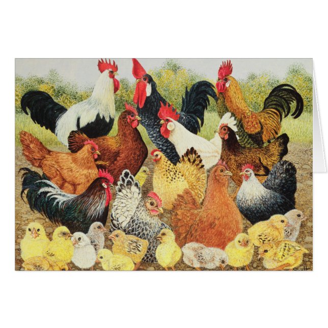 Something to Crow About (Front Horizontal)