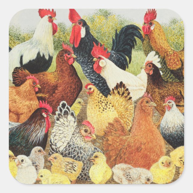Something to Crow About Square Sticker (Front)
