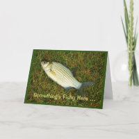 Something's Fishy Here - You Never Seem To Age!