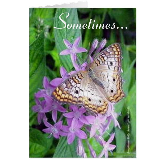 Sometimes... (Front)