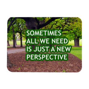 Sometimes all we need is just a new perspective  magnet