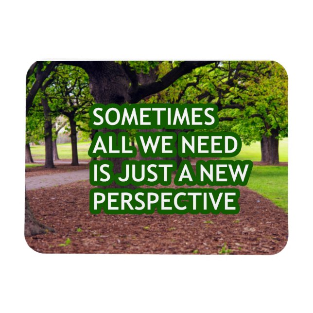 Sometimes all we need is just a new perspective  magnet (Horizontal)