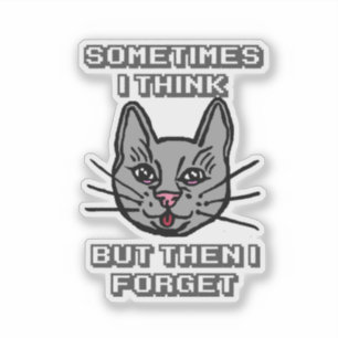 Sometimes I Think But Then I Forget Cat Meme Joke