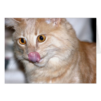 Sometimes I try to be Normal