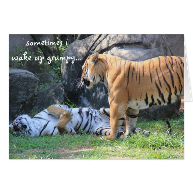 Sometimes i wake up grumpy... funny tiger card (Front Horizontal)
