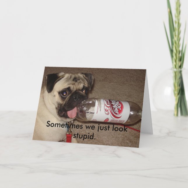 Sometimes we just look stupid greeting card (Front)