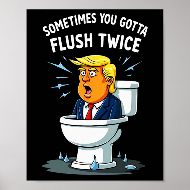 Sometimes You Gotta Flush Twice 2  Poster (Front)