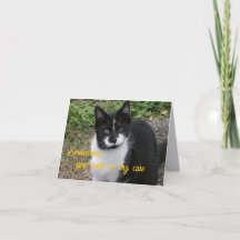 Sometimes, you have to try cute.