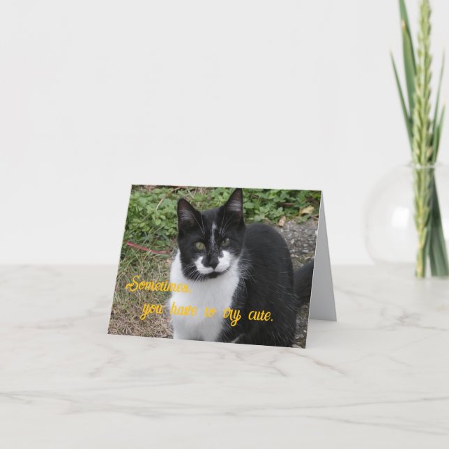 Sometimes, you have to try cute. thank you card (Front)