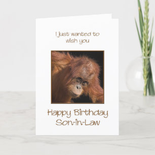 Son-in-Law Birthday, Orang Utan Card