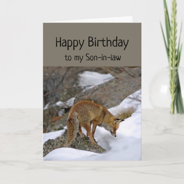 Son-in-law Deserve Wonderful Birthday Fox  Card (Front)