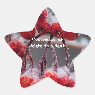 SONB Snow on Berries; Customisable Star Sticker