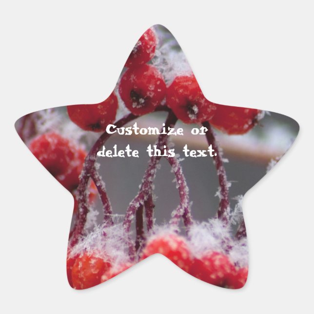 SONB Snow on Berries; Customisable Star Sticker (Front)