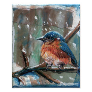 Song Bird Adorable Little Winter Blue Bird Photo Print