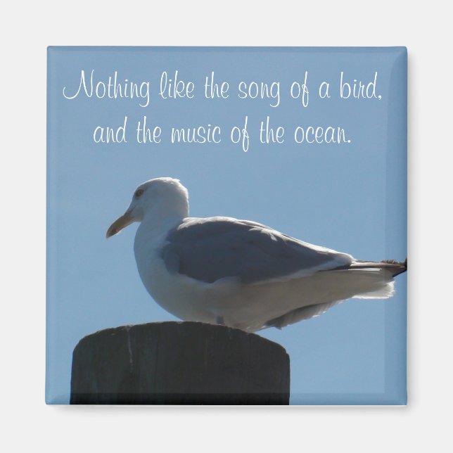 Song of a Bird, Music of the Ocean Seagull Magnet (Front)