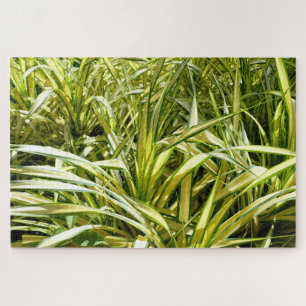 Song of India Jigsaw Puzzle