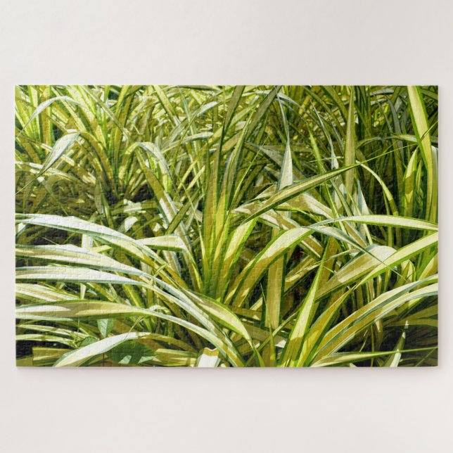 Song of India Jigsaw Puzzle (Horizontal)