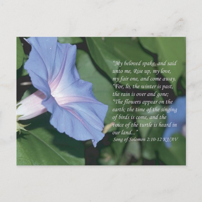 Song of Solomon 2:10-12 Scripture Postcard (Front)