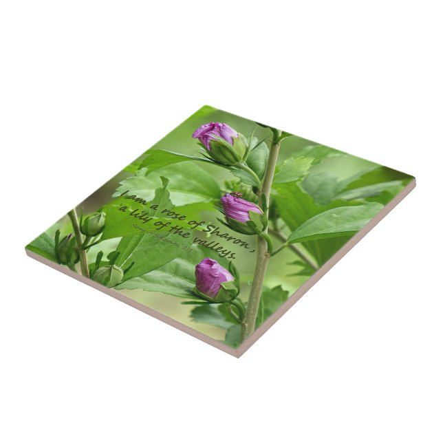 Song of Solomon 2:1 Ceramic Tile (Side)