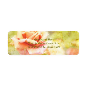 Song of Spring II - Lovely Pale Orange Rose Return Address Label