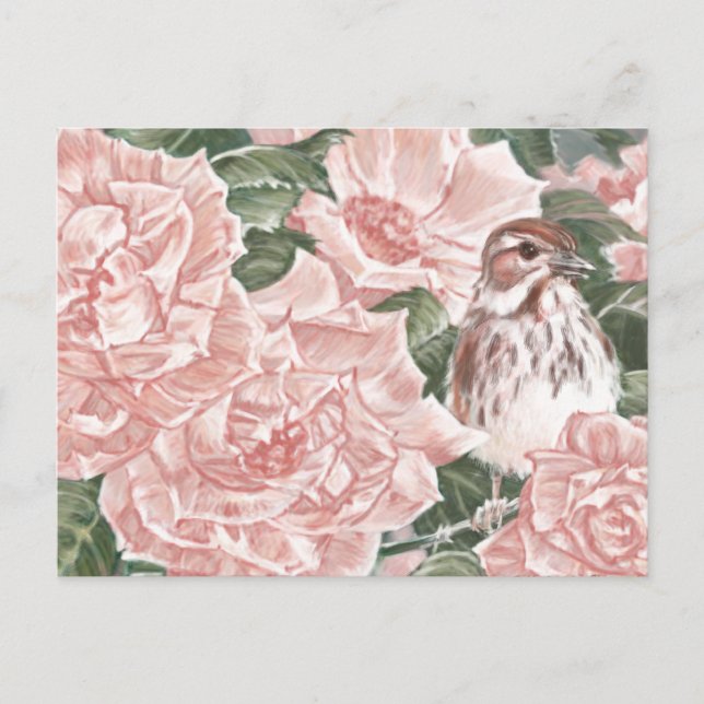 Song Sparrow and Pink Roses Flower Painting Postcard (Front)