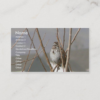 Song Sparrow Business Card