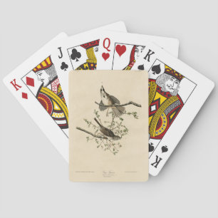 Song Sparrow from Audubon's Birds of America Playing Cards
