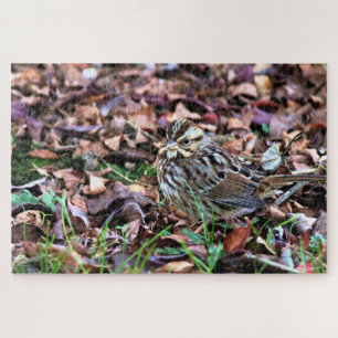 Song Sparrow Jigsaw Puzzle