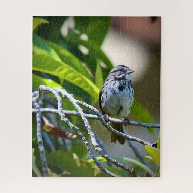 Song Sparrow Jigsaw Puzzle (Vertical)