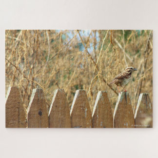 Song Sparrow on Fence Jigsaw Puzzle