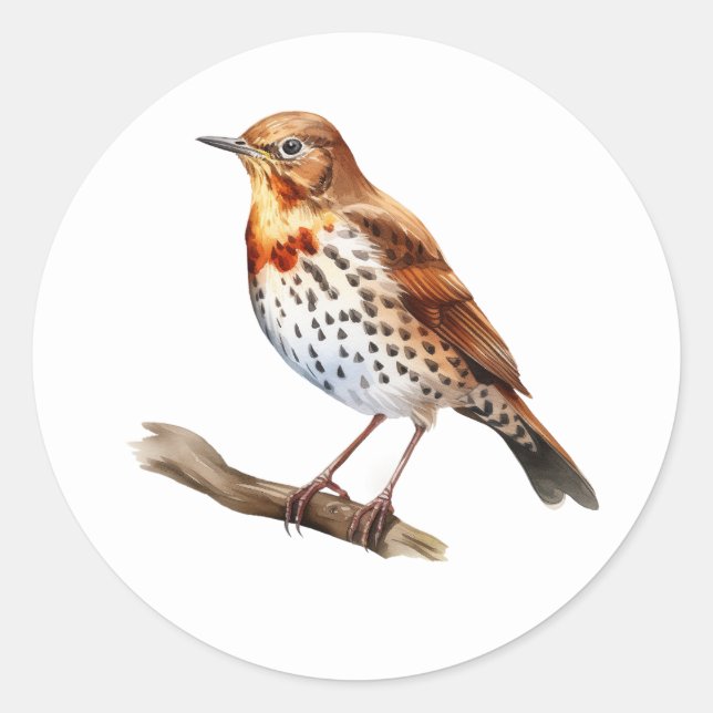 Song Thrush Bird Stickers (Front)
