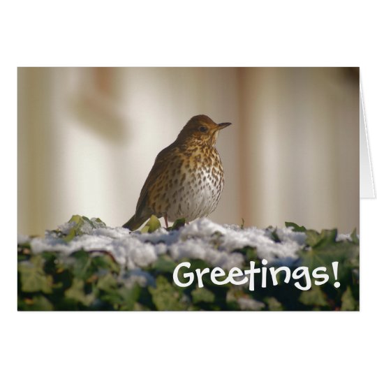 Song Thrush Greetings Card