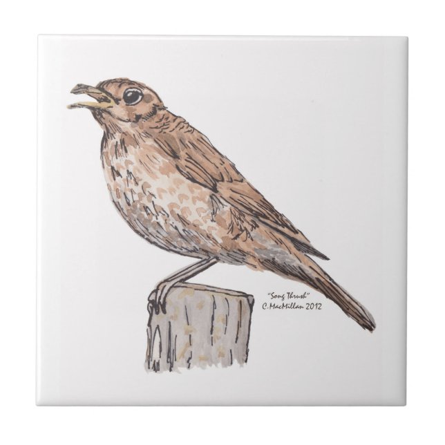 Song Thrush Tile (Front)