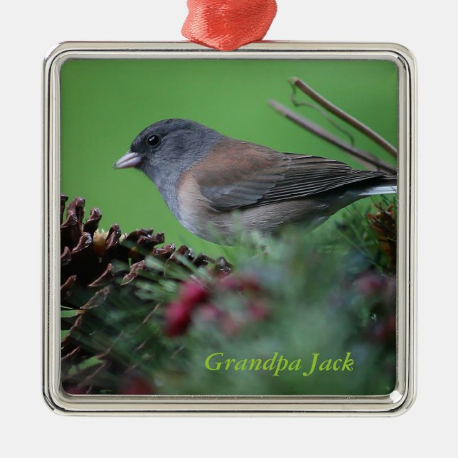 songbird in holiday setting ornament (Front)